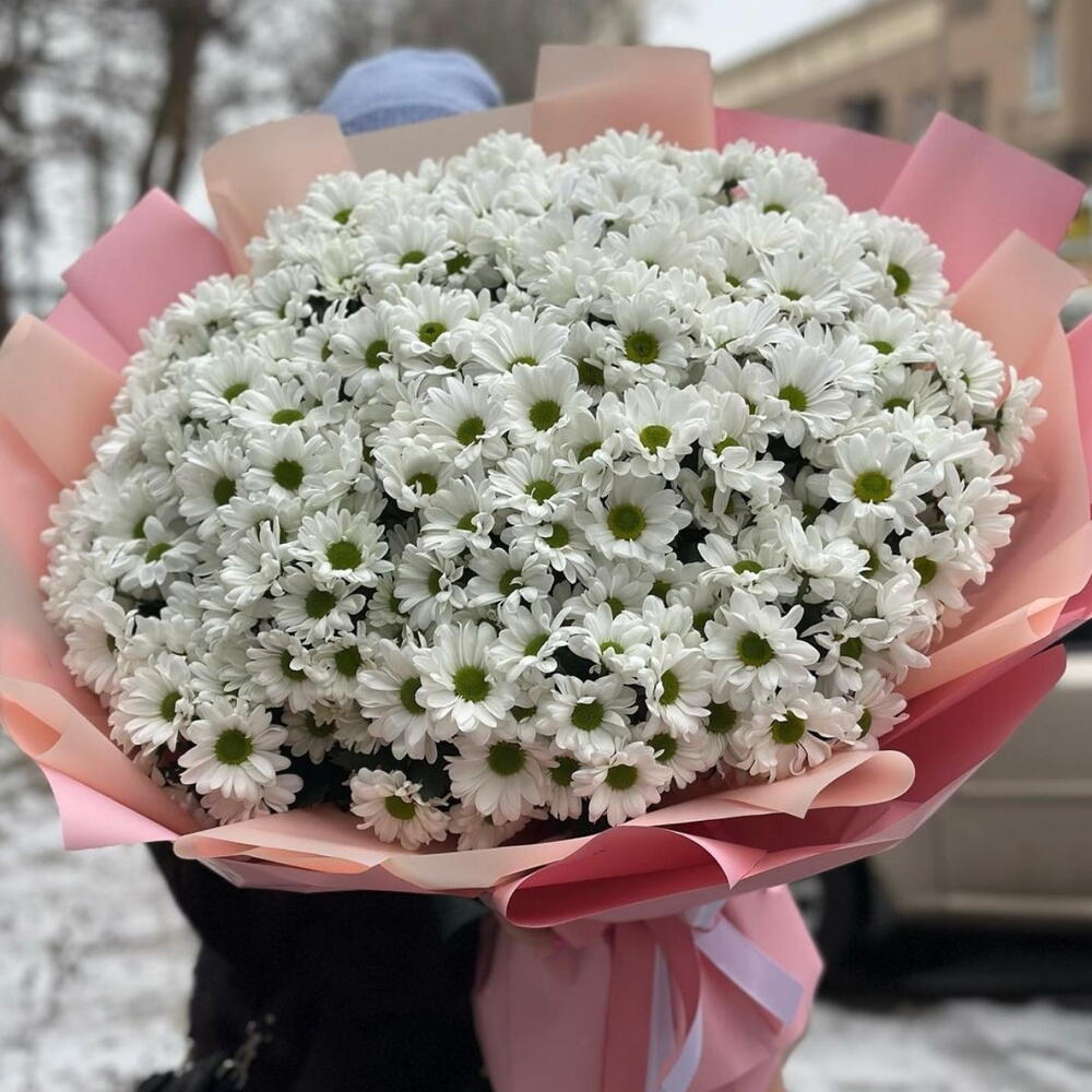 Белое облако Киев